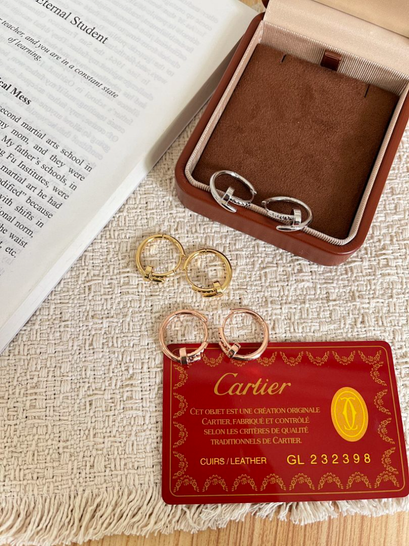A1243   Women's new fashionable titanium steel earrings and jewelry